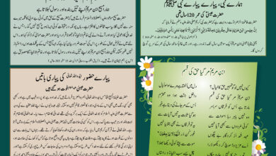 Photo of بچوں کا الفضل 15؍ دسمبر 2024ء