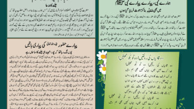 Photo of بچوں کا الفضل 29؍دسمبر 2024ء