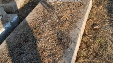 Photo of شیخوپورہ میں احمدیوں کی قبروں کی بے حرمتی کا سلسلہ جاری