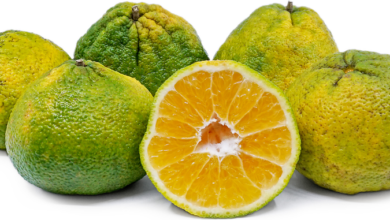 Photo of The Ugli Fruit
