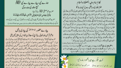 Photo of بچوں کا الفضل 23؍فروری 2025ء