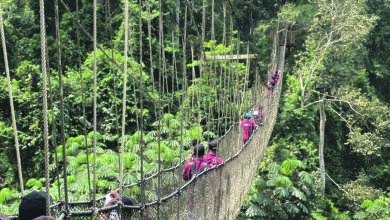 Photo of مدرستہ الحفظ گھانا کا تفریحی سفربمقام کاکم نیشنل پارک (Kakum National Park)