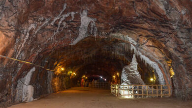 Photo of زمین اپنی خبریں بیان کرے گی