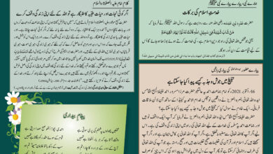 Photo of بچوں کا الفضل 20؍اپریل 2025ء