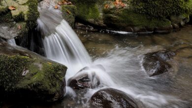 Photo of اے آزمانے والے یہ نسخہ بھی آزما!