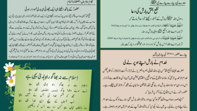 Photo of بچوں کا الفضل یکم؍جون 2025ء