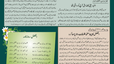 Photo of بچوں کا الفضل 15؍جون 2025ء