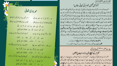 Photo of بچوں کا الفضل 29؍جون 2025ء