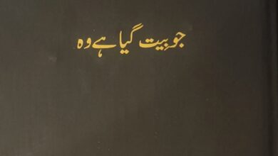 Photo of جو بِیت گیا ہے وہ