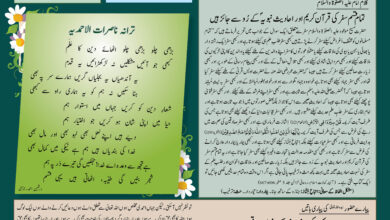 Photo of بچوں کا الفضل 13؍جولائی 2025ء