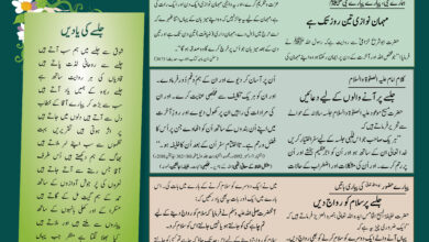 Photo of بچوں کا الفضل 27؍جولائی 2025ء