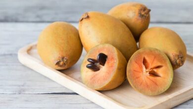 Photo of چیکو کا تعارف