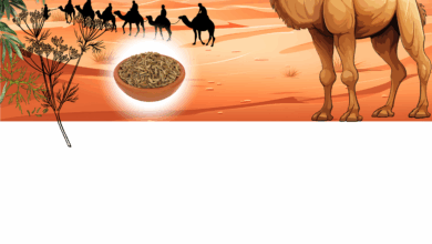 Photo of ذہنی آزمائش