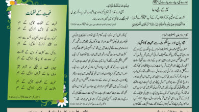 Photo of بچوں کا الفضل 10؍اگست 2025ء