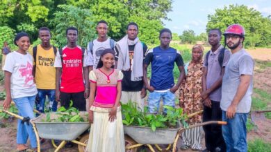 Photo of مجلس خدام الاحمدیہ بصے، گیمبیا کی کاجو کے پودوں کی کاشت