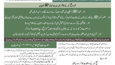 Photo of الفضل انٹرنیشنل ۱۱؍اگست ۲۰۲۵ء