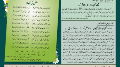 Photo of بچوں کا الفضل 24؍اگست 2025ء