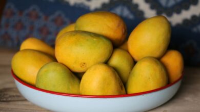 Photo of حضرت مسیح موعودؑ کا ایک مرغوب پھل۔آم