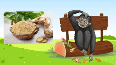 Photo of ذہنی آزمائش