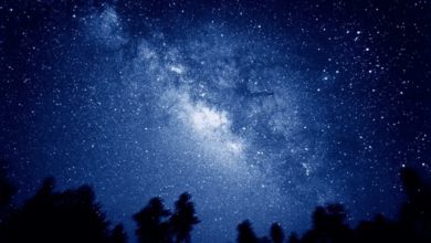 Photo of میری کر مدد خدایا، ہیں کہاں تری سپاہیں