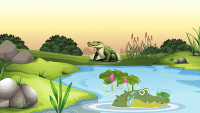 Photo of ذہنی آزمائش