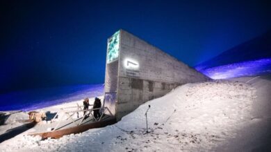 Photo of انسانی بقا کا ضامن سرمایہ۔ بیجوں کے ذخائر(Seed Vault)