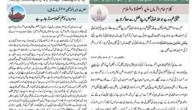 Photo of الفضل انٹرنیشنل ۱۱؍اکتوبر ۲۰۲۵ء