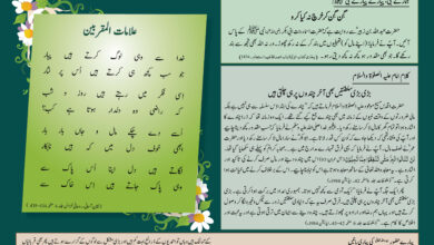 Photo of بچوں کا الفضل 2؍نومبر 2025ء