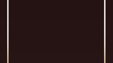 Photo of تحریک جدید…خدا تعالیٰ کی نازل کردہ تحریک ہے