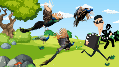 Photo of ذہنی آزمائش