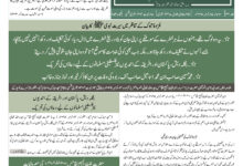 Photo of الفضل انٹرنیشنل ۱۷؍نومبر ۲۰۲۵ء