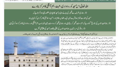 Photo of الفضل انٹرنیشنل ۲۹؍نومبر ۲۰۲۵ء