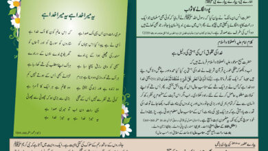 Photo of بچوں کا الفضل 30؍نومبر 2025ء