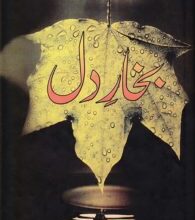 Photo of نہیں محروم اُس درگاہ سے کوئی