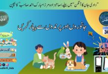 Photo of بچوں کے الفضل کی آڈیو30؍نومبر2025ء