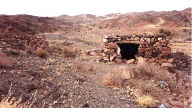 Photo of حضرت حلیمہ سعدیہؓ رسولِ رحمت ﷺ کی رضاعی والدہ