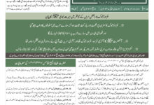 Photo of الفضل انٹرنیشنل ۸؍دسمبر ۲۰۲۵ء