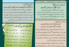 Photo of بچوں کا الفضل 14؍ دسمبر 2025ء