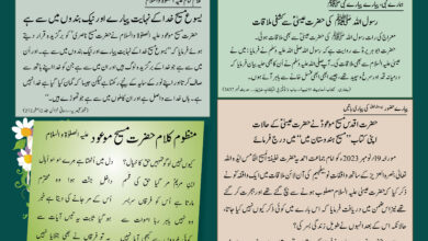 Photo of بچوں کا الفضل 14؍ دسمبر 2025ء